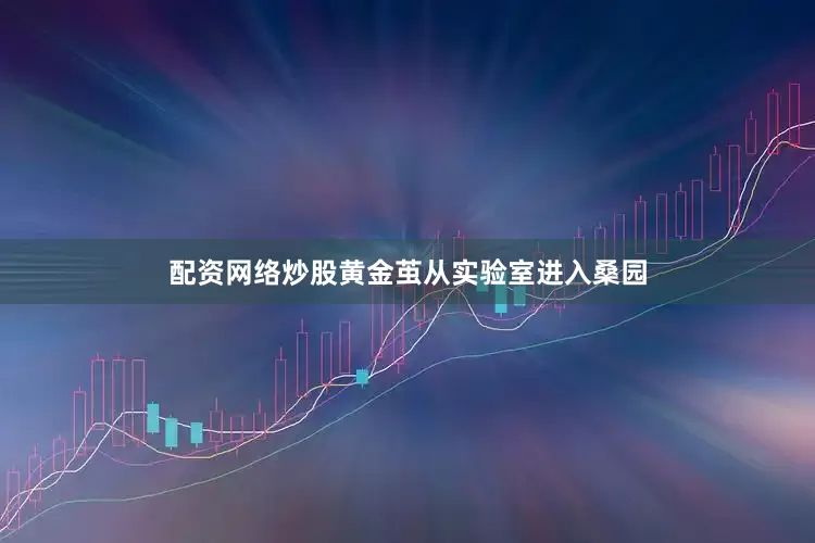 配资网络炒股黄金茧从实验室进入桑园