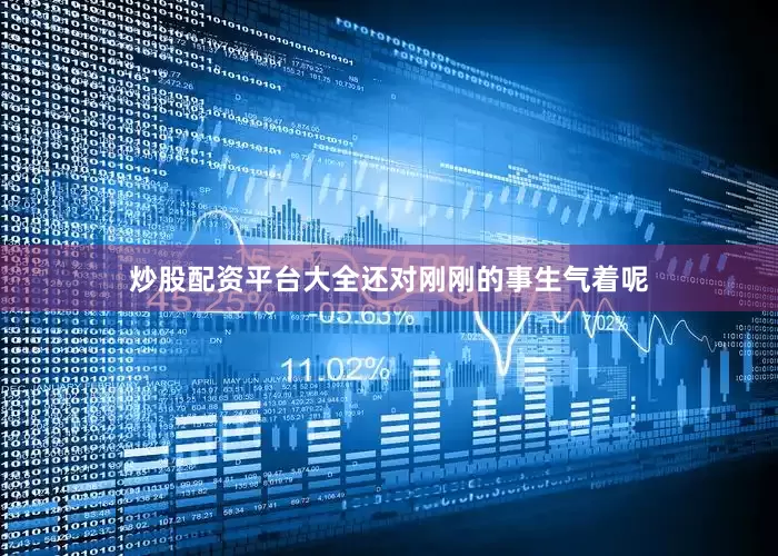 炒股配资平台大全还对刚刚的事生气着呢
