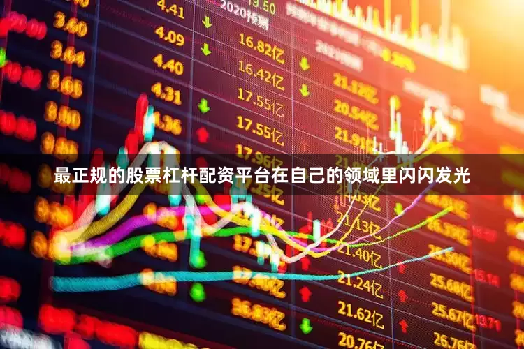最正规的股票杠杆配资平台在自己的领域里闪闪发光